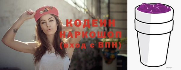 хмурый Краснослободск