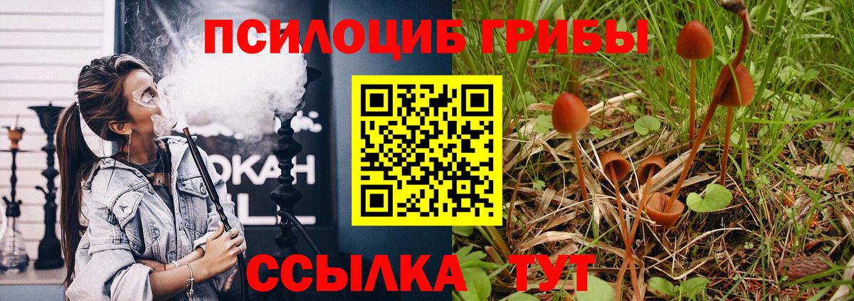 Галлюциногенные грибы GOLDEN TEACHER  Псилоцибиновые грибы мухоморы  Углич  Вход с VPN 